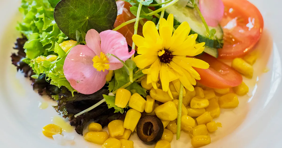 Tallrik med somrig sallad.