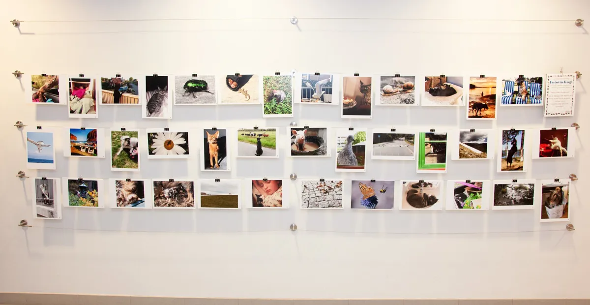 Fototävling 2019 070