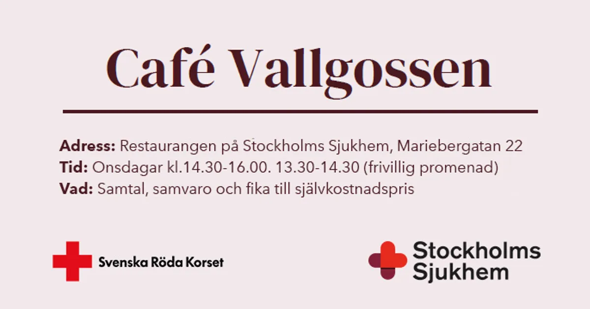 Cafe Vallgossen