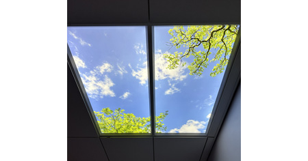 Takfönster med ljusblå himmel och trädgrenar.