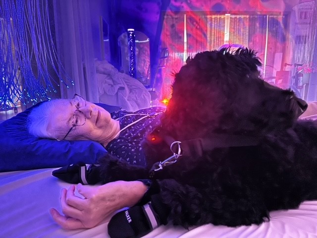 Kvinna ligger i säng i lugnande sinnesrum. Hund är med. Färgerna i rummet är lila och rosa.