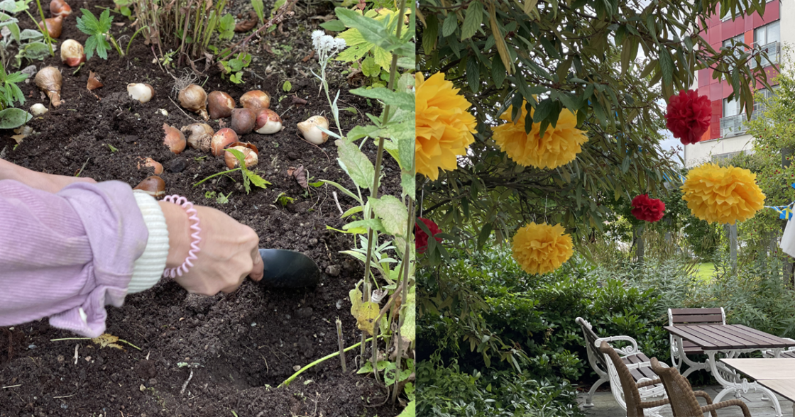 Nyhetsbild, plantering på Vallgossen.