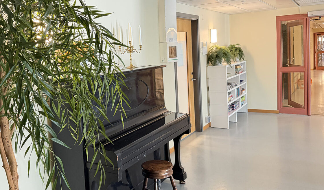Nyhetsbild, piano och bokhylla.