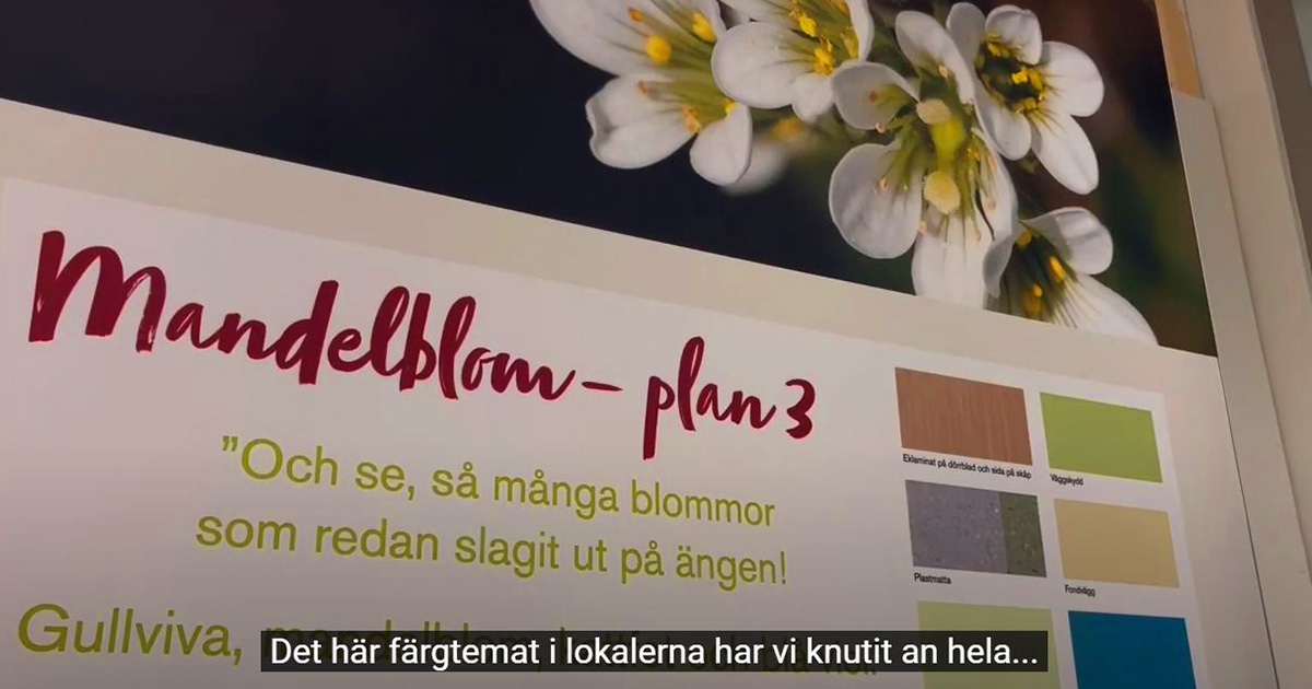 Väggskylt med texten "Mandelblom – plan 3", blommor och färgprover, svensk undertext nederst.