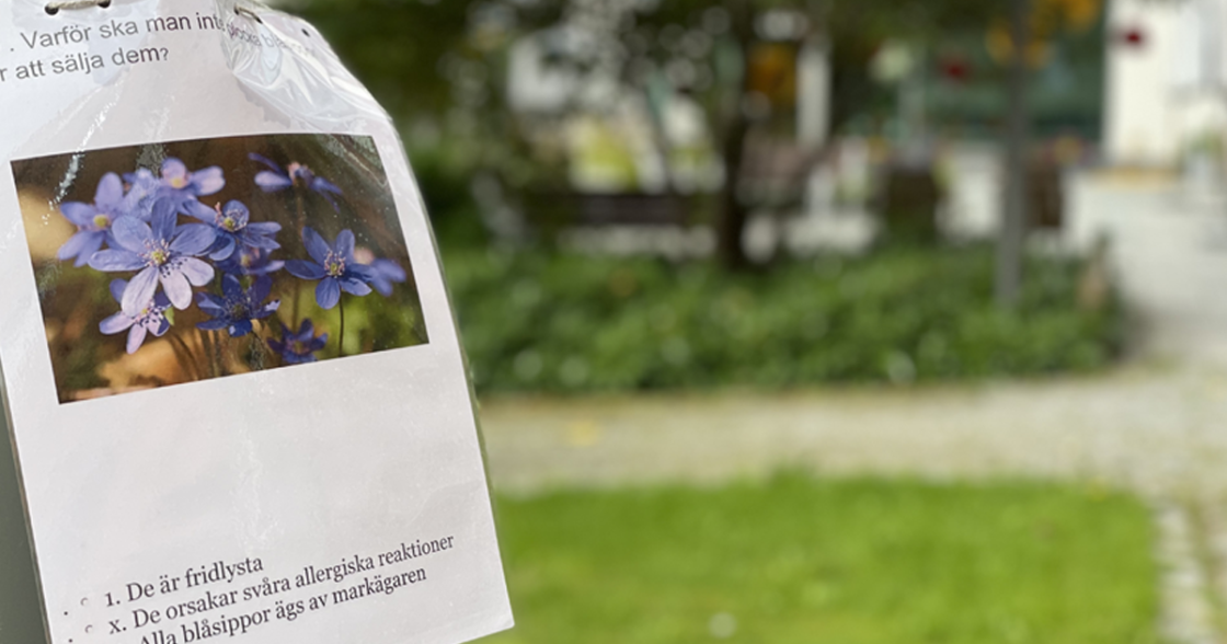 Nyhetsbild, tipspromenad.