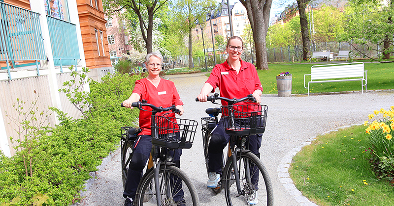 rehab hemma