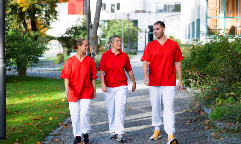 Tre medarbetare promenerar i parken.